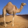 Thumbnail image for 10 Key Digital Media Happenings to Get You to the End of the Week